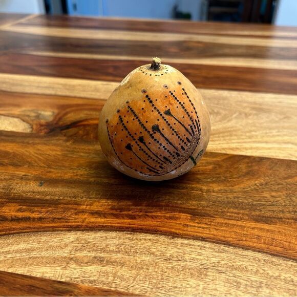 Gourd Home Decoration Custom Designed Woodburning and Painted Gourd Boho… - Picture 1 of 3